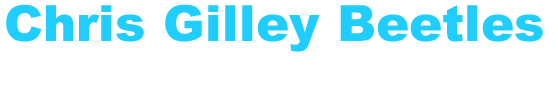 Chris Gilley Logo